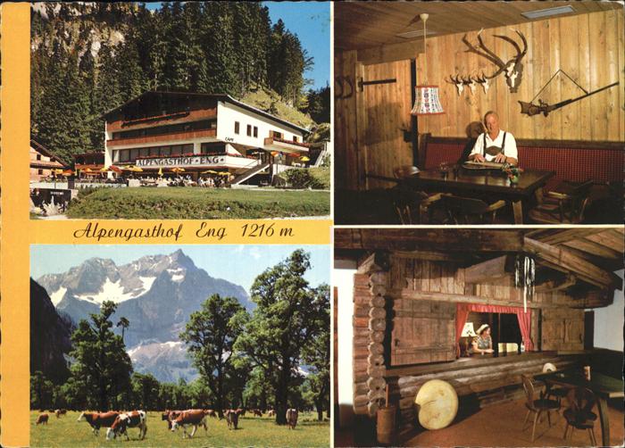 Hinterriss Tirol Alpengasthof Eng Grosser Ahornboden Viehweide Kuh