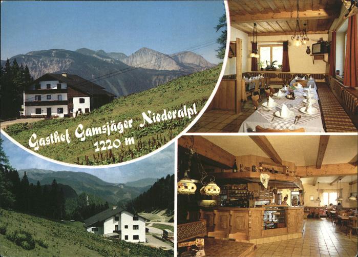 Niederalpl Gasthof Pension Gamsjäger Alpenpanorama
