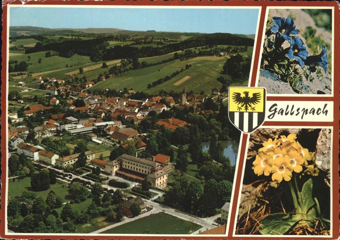 Gallspach Fliegeraufnahme Wasserschloss Kurort See Kurpark Alpenblumen Enzian Wa