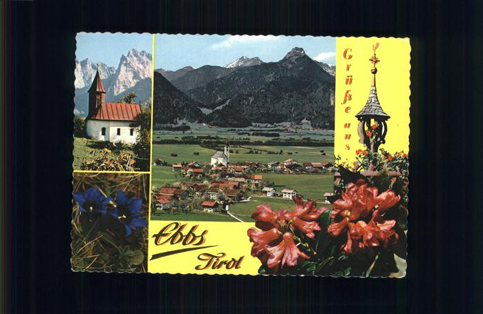 Ebbs Panorama gegen Wendelstein Antoniuskapelle Kaisertal Alpenblumen Enzian