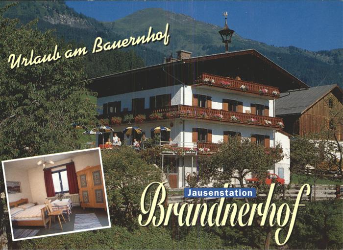 Bad Hofgastein Salzburg Jausenstation Brandnerhof