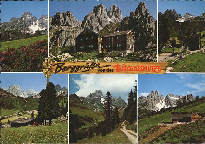 Filzmoos Almrausch auf der Sul7enalm Hofpuerglhuette Alpenpanorama