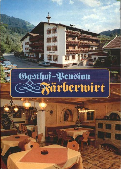 Muehltal Wildschoenau Gasthof Pension Faerberwirt