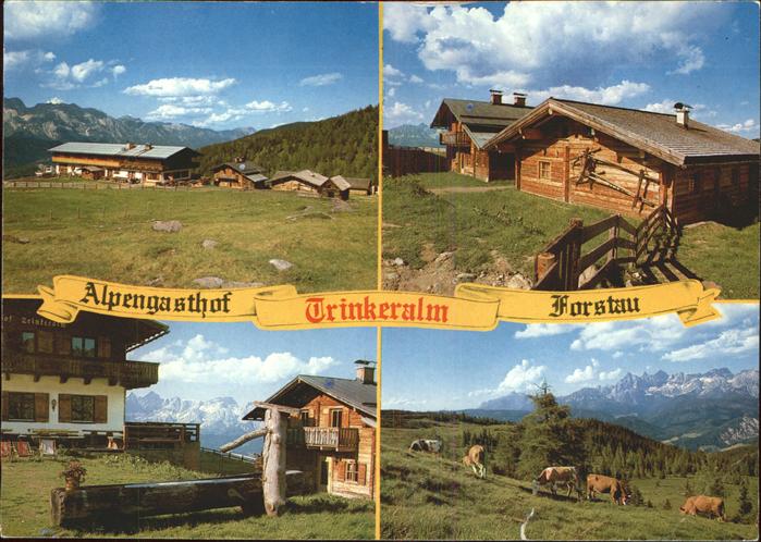 Forstau Alpengasthof Trinkeralm Brunnen Viehherde