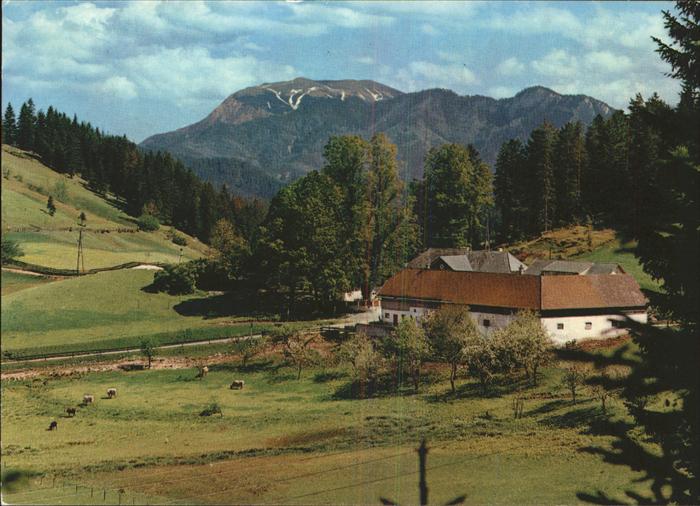 Rohr Gebirge Alpengasthof zur Kalten Kuchl mit Schneeberg