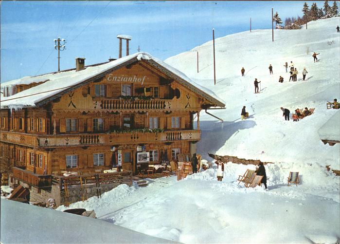 Zell Ziller Tirol Alpengasthof Enzianhof