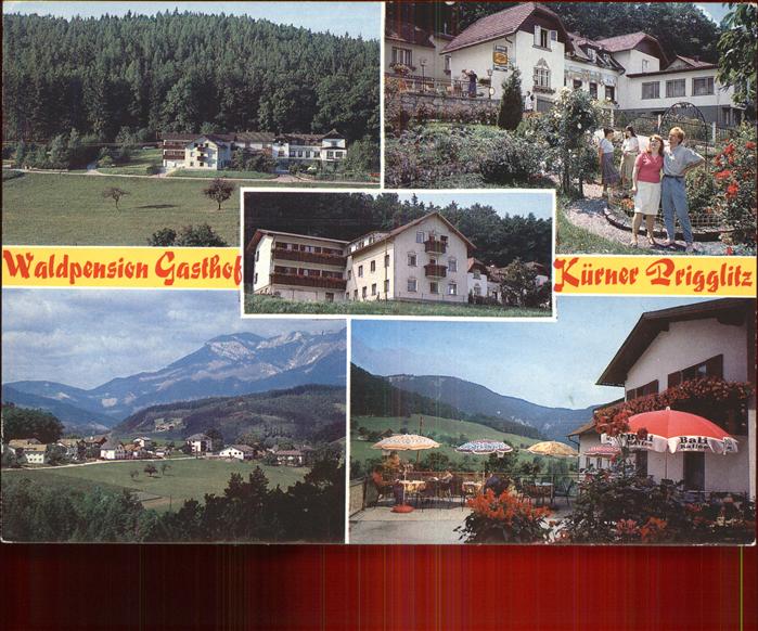 Prigglitz Waldpension Gasthof Kuerner Terrasse Panorama