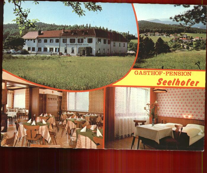 Prigglitz Gasthof Pension Seelhofer Gastraum Zimmer Panorama