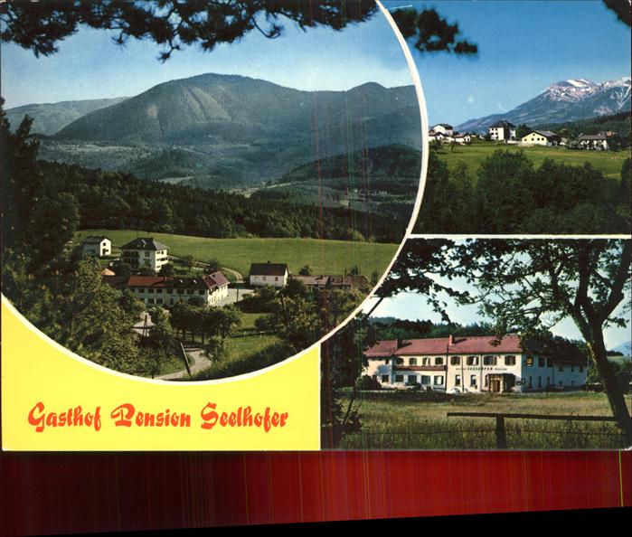 Prigglitz Gasthof Pension Seelhofer Panorama
