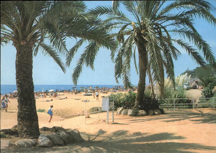 Costa Dorada Maresme Playa Paseo Maritimo