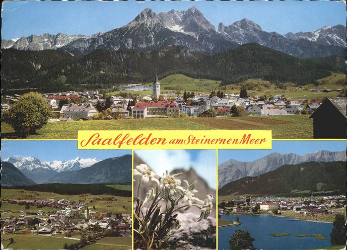 Saalfelden Steinerne Meer Edelweiss Saalfelden Kitzsteinhorn Strandbad