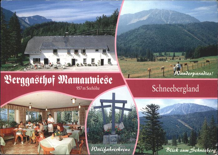 Gutenstein Niederoesterreich Berggasthof Schneebergland Wallfahrerkreuz