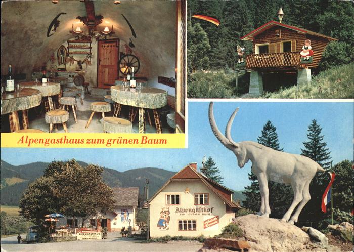Schwarzau Gebirge Forellen Backhendelstation Alpengasthof Zum Gruenen Baum