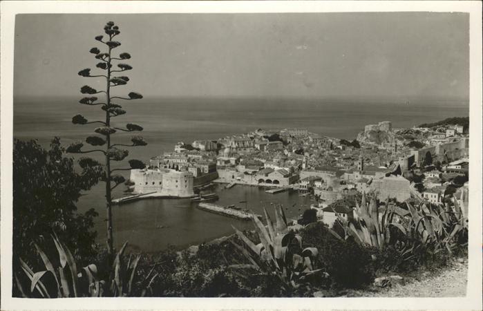 Dubrovnik Ragusa Panorama Hafen