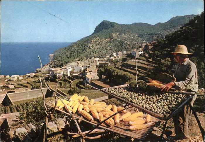 Banalbufar Escena tipica Bauer