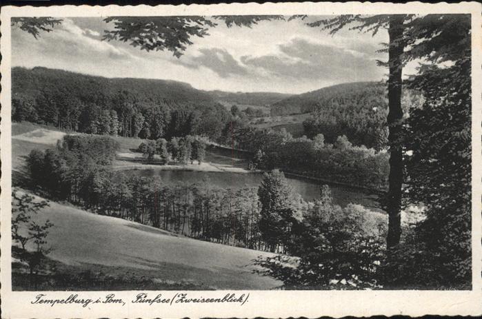 Tempelburg Czaplinek Panorama Fuenfsee Zweiseenblick NZ3