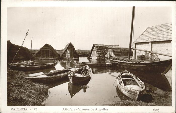 Valencia Valenciana Albufera Viveros de Anguilas