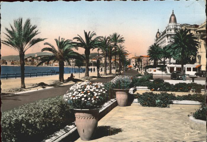 Cannes Alpes-Maritimes Cote d Azur La Croisette