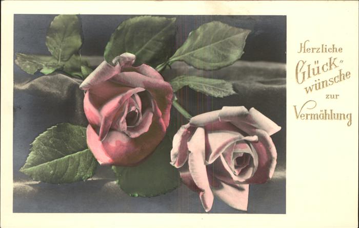 Rosen Glückwunsch Vermählung