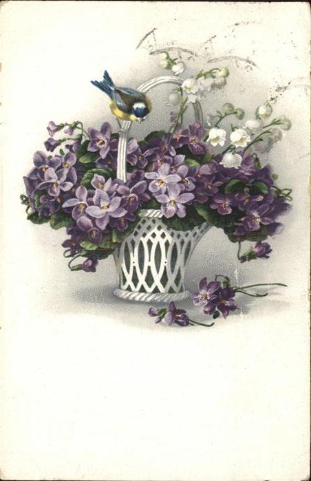 Blumen Veilchen Vogel