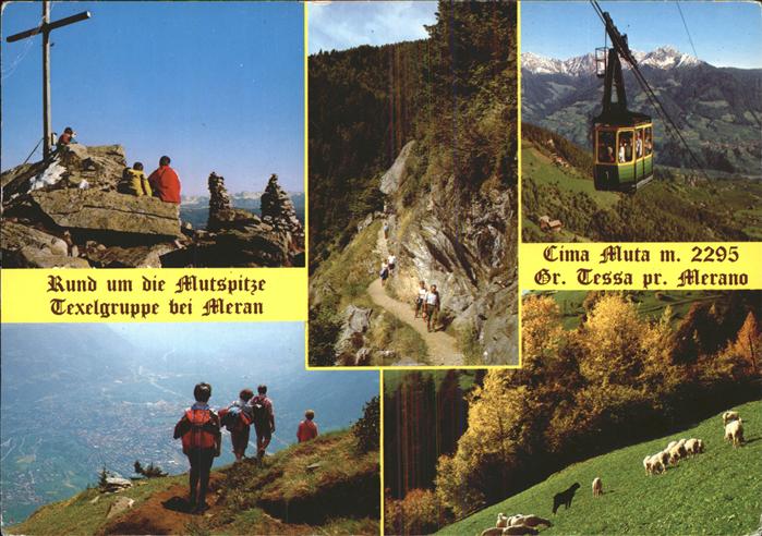 Seilbahn Mutspitze Texelgruppe Meran Schafe