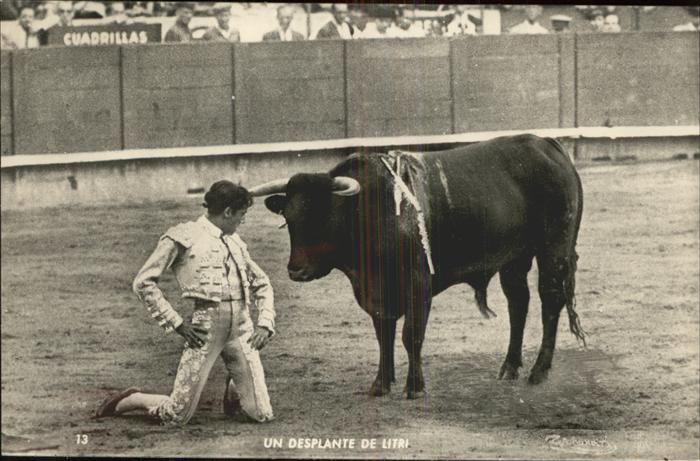 Stierkampf Desplante de Litri