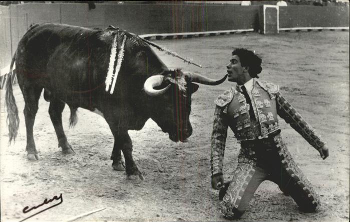 Stierkampf Miguelin Madrid