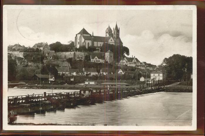 Breisach Rhein Blick von Frankreich aus