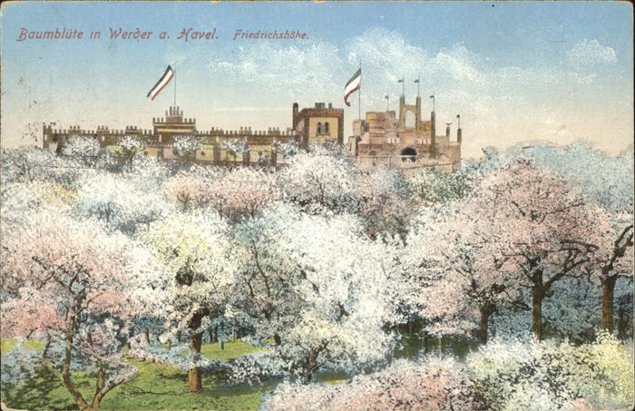 Werder Havel Baumbluete Friedrichshoehe