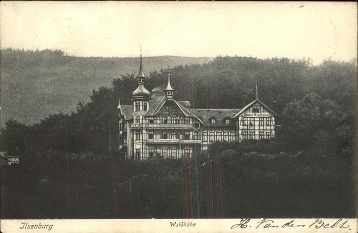 Ilsenburg Harz Waldhoehe