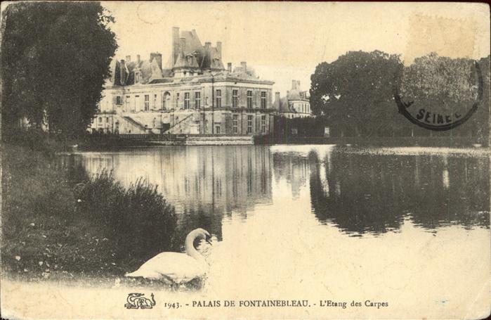Fontainebleau Seine et Marne Palais Etang des Carpes Schwan