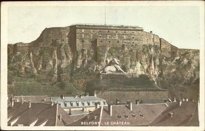 Belfort Alsace Vue partielle avec Chateau et le Lion