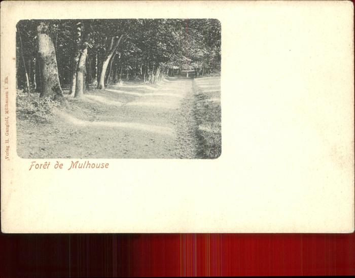 Mulhouse Muehlhausen Dans la foret