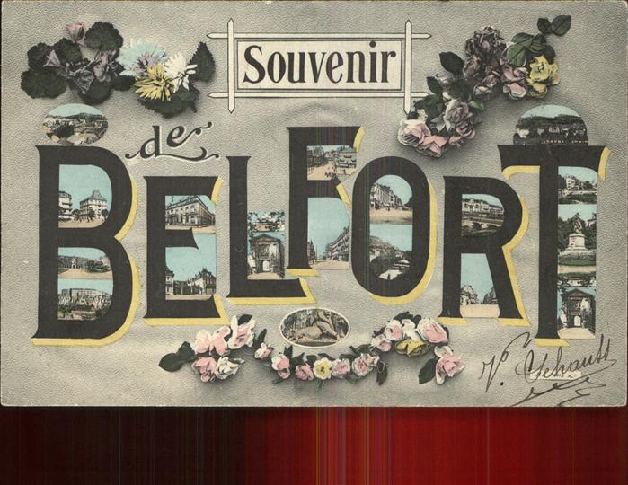 Belfort Alsace Vues d_ensembles