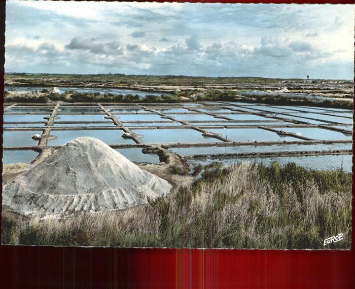 Saint-Nazaire Loire-Atlantique Les marais salants