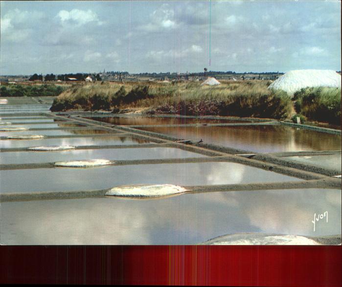 Saint-Nazaire Loire-Atlantique Les marais salants Cote d_Amour