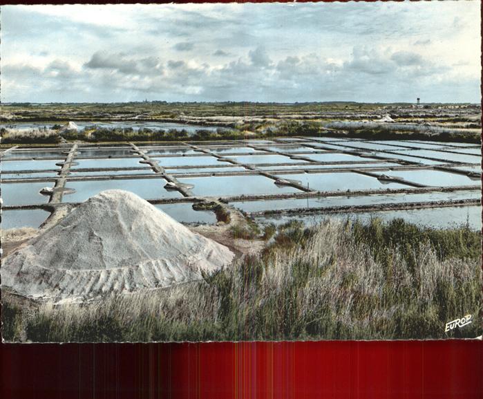 Saint-Nazaire Loire-Atlantique Les marais salants