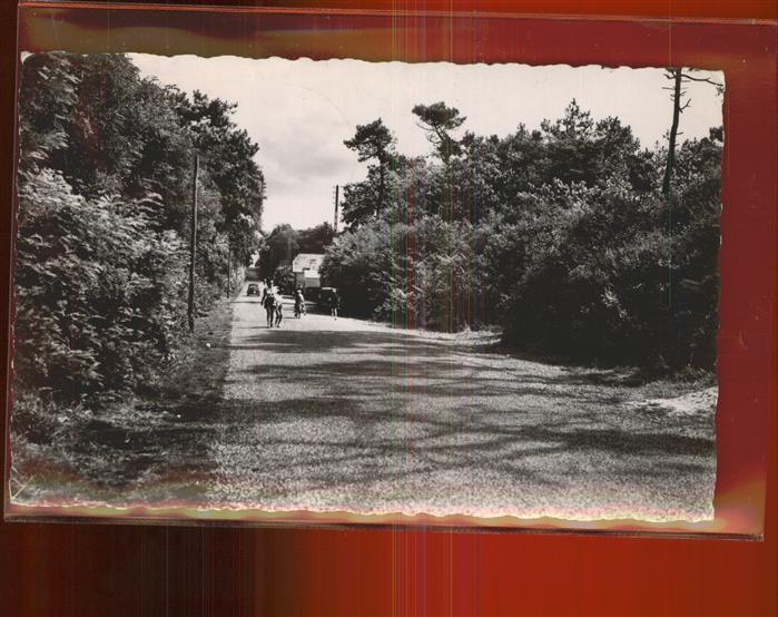 Longeville-sur-Mer Avenue Forestiere