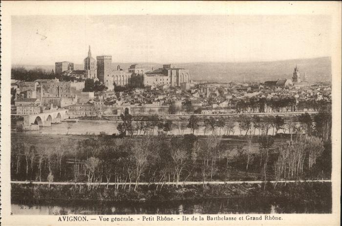 Avignon Vaucluse Vue generale Petit Rhone Ile de la Bart