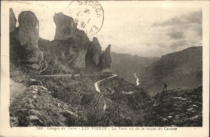Les Vignes Lozere Gorges du Tarn vu de la route du Causse