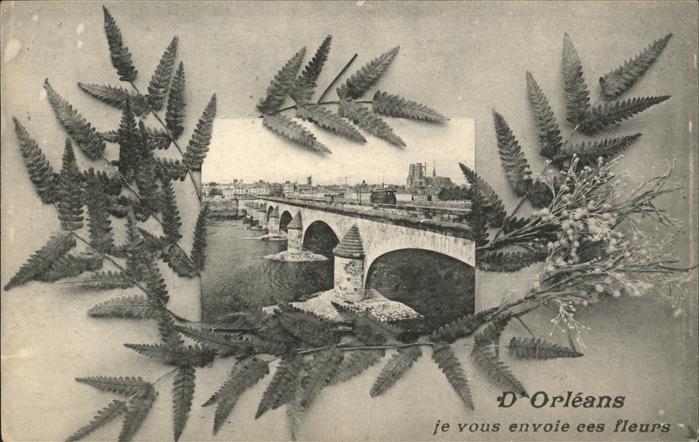 Orleans Loiret Vue generale Pont Fleurs
