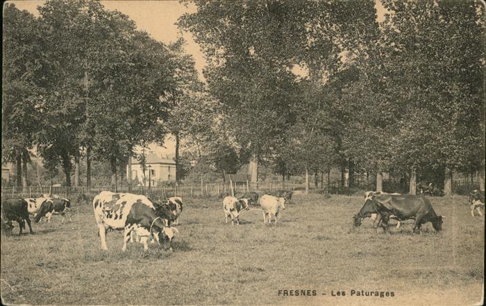 Fresnes-sur-Marne Les Paturages Vache