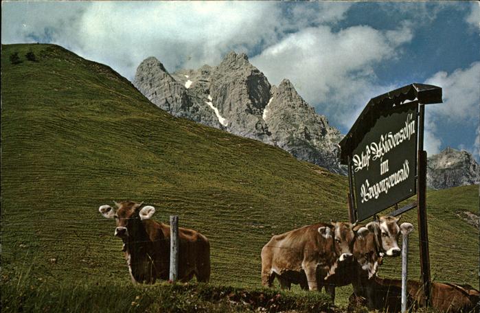 Hochtannberg Am Hochtannenbergpass