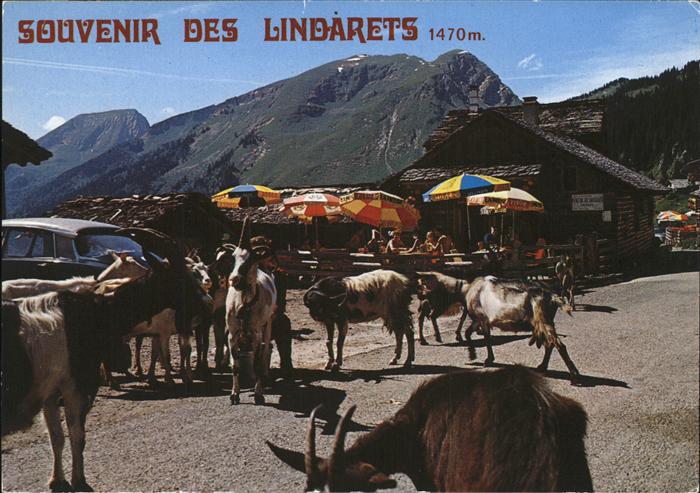 Morzine Les Lindarets