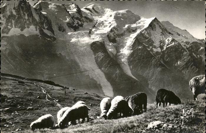 Chamonix La chaine do Mont Blanc vue du Planpraz