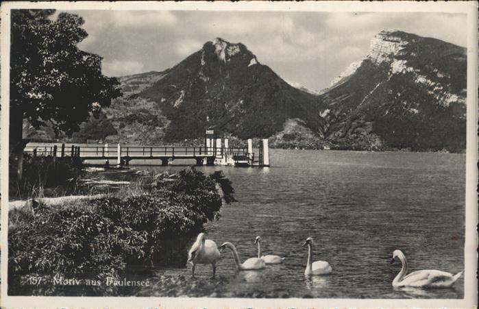 Schwan Faulensee