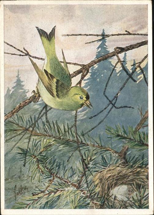Voegel Birds Oiseaux Uccelli Pajaros-- Zeisig Prof. B. Sitka Nr.11/3