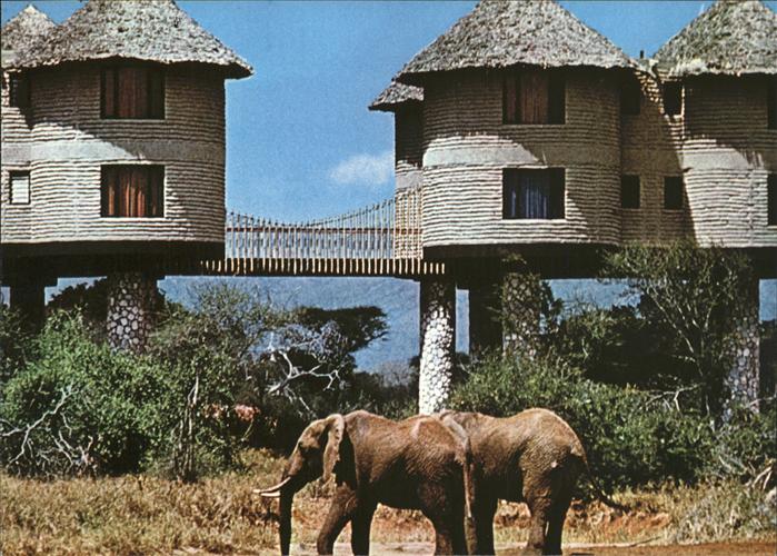Elefant Salt Lick Afrika