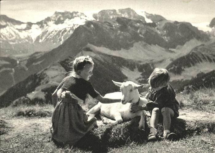 Ziege Kinder