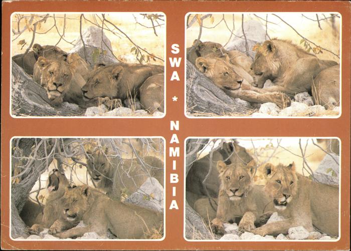 Loewe Etosha Swa-Namibia
